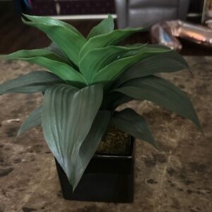 Green Artificial Plant in Black Pot